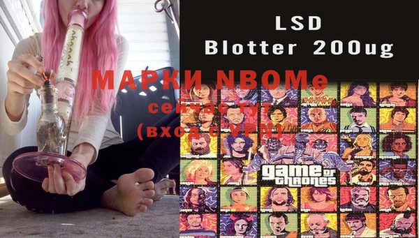 стафф Магас