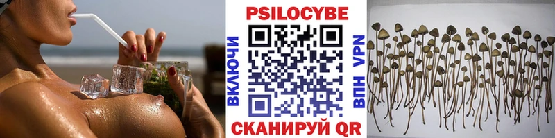 Галлюциногенные грибы Magic Shrooms  Жуковский 